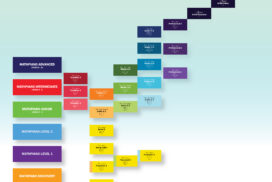 BAAM curriculum map